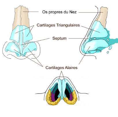 ecoulement nasal apres septorhinoplastie